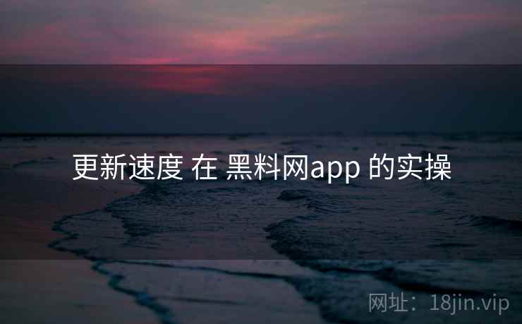 更新速度 在 黑料网app 的实操
