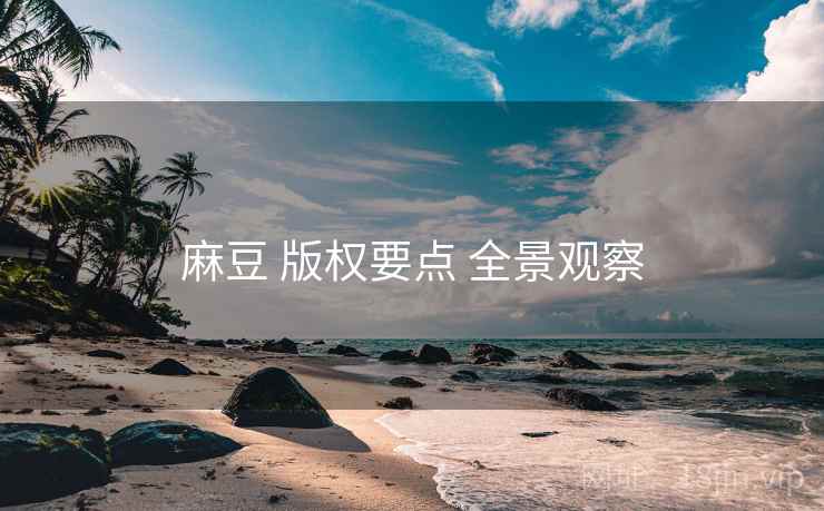 麻豆 版权要点 全景观察